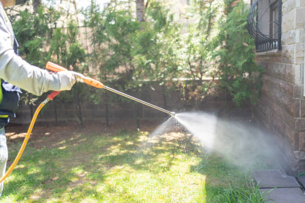 Best Mosquito Control Services  in Port Norris, NJ