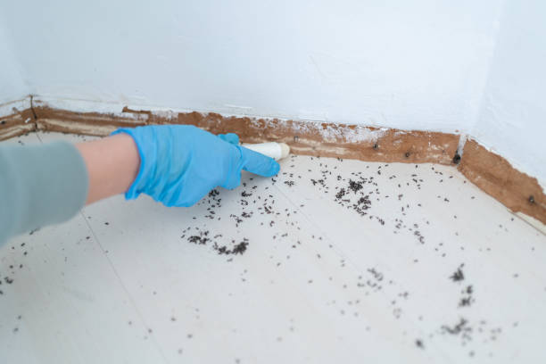 Best Residential Pest Control  in Port Norris, NJ