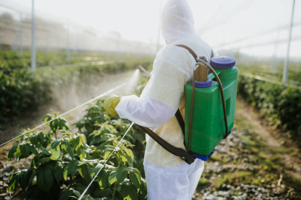 Flea Control Services in Port Norris, NJ